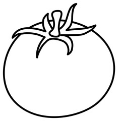 Tomato doodle outline for colouring