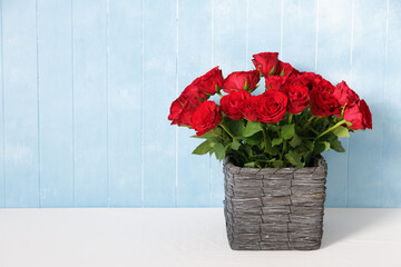 赤いバラの鉢植えとブルー背景のコピースペース