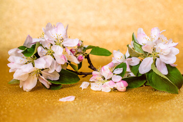 Fototapeta na wymiar Branch of a blooming Apple tree on a shiny gold background