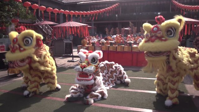 Performers in lion costumes perform during an event before Chinese New Year celebrations at a temple in Chinatown.