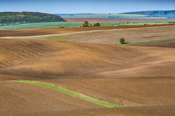 Plowed fields prepared for sowing