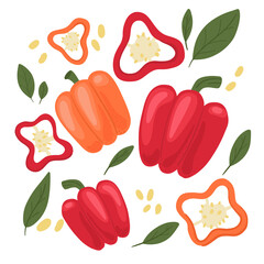 Bright juicy peppers of different sizes with leaves, seeds and slices. Vector illustration isolated on a white background. Vector illustration