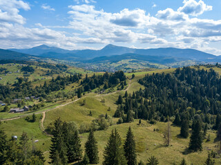 Naklejka premium Green mountains of Ukrainian Carpathians in summer. Coniferous trees on the slopes. Aerial drone view.