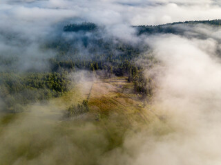 Foggy summer morning in the Ukrainian Carpathians. Aerial drone view.