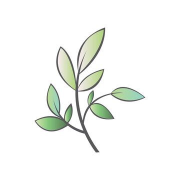 leaf stalk logo illustration design vector icon