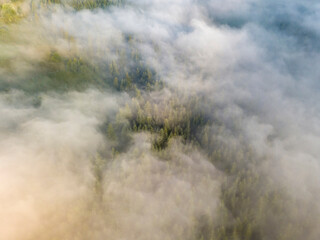 Morning mist in Ukrainian Carpathian mountains. Aerial drone view.