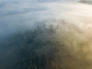 Fototapeta premium Fog envelops the mountain forest. The rays of the rising sun break through the fog. Aerial drone view.