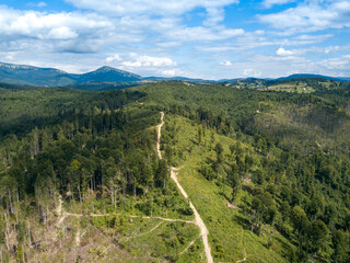 Green mountains of Ukrainian Carpathians in summer. Coniferous trees on the slopes. Aerial drone view.