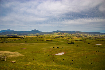 Dry green Australian countryside with hills in the background