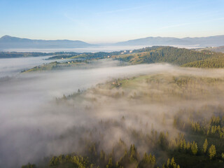 Morning fog in the Ukrainian Carpathians. Aerial drone view.