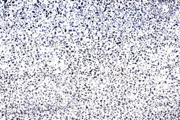 Terrazzo monochrome patterns (polished stone ) natural background