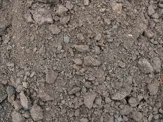 earthen background with large crumbly clods full frame, loosened soil close-up as a natural texture, textured farmer's black soil of plowed land, texture of fertile soil