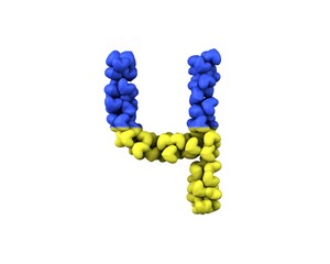 Ukraine Hearts Font Letter