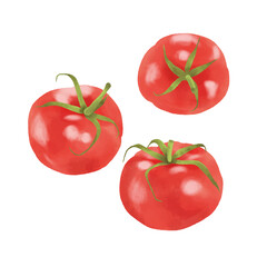 水彩タッチのトマト