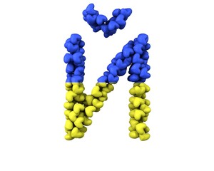 Ukraine Hearts Font Letter