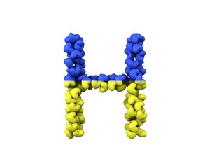 Ukraine Hearts Font Letter H