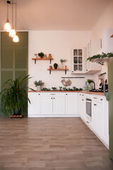 Modern Kitchen Interior with Island, Sink, Cabinets in New Luxury Home.