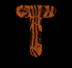 Furry Orange Tiger Font Tiger