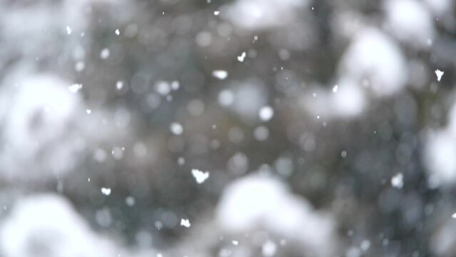 雪景色　スローモーション　長野県木曽郡上松町　日本　