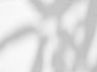 Obraz premium Gray shadow of the leaves on cement wall.
