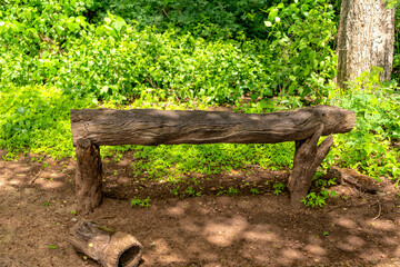 weathered old tree trunk converted to bench, at Victoria falls, Zimbabwe
