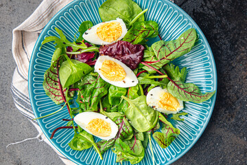 egg salad green leaves mix fresh lunch dietary meal food snack on the table copy space food background 