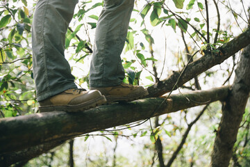 Fototapeta premium Hiker walking on a fallen tree trunk in forest