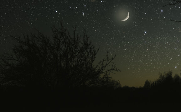 big moon