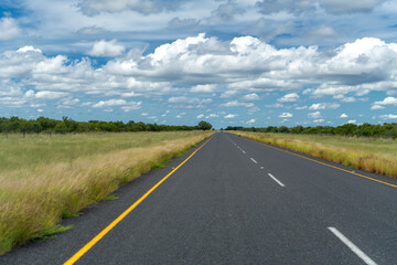 Fototapeta na wymiar dead straight asphalt road through the savannah landscape of Botswana