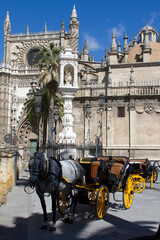 Fototapeta premium Touristen Kutschen in Sevilla vor der Kathedrale Santa María de la Sede