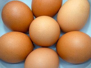 High Angle close-up, a pile of 7 chicken eggs. Place in a circle around the area. White background.