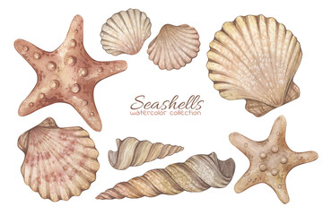 Set with watercolor illustrations of vintage seashells isolated on white background. Marine collection.