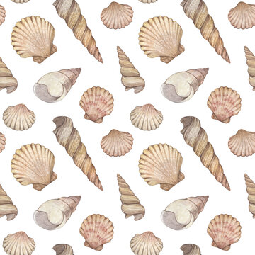 Watercolor seamless pattern with vintage seashells isolated on white background. Marine collection.