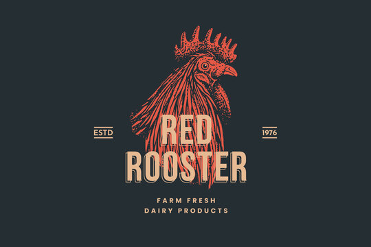 Rooster head. Hand-drawn retro picture with a bird in engraving style. Can be used for restaurant menu design, market packaging, and labels. Vector vintage illustrations on a red background.
