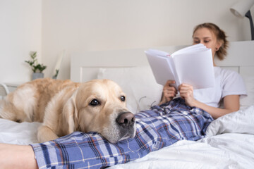 Fototapeta na wymiar A beautiful girl is reading a book in the bedroom with her golden retriever friend. A young woman lies on the bed with her dog.