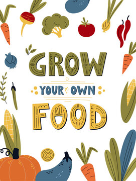 Grow your own food poster or banner with vegetables. Motivational phrase, hand lettered gardening quote. Flat vector illustration isolated on white. Vegan and vegetarian print, organic food