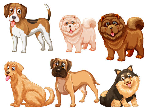 Set of different cute dogs in cartoon style