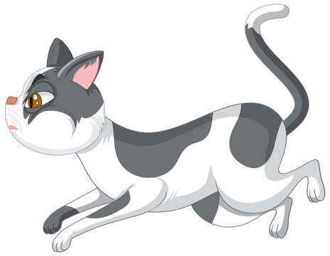 A cat running on white background