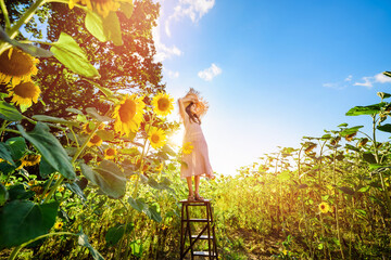 Little girl at sunset among sunflower field. Child stands on ladder between blossoming sunflowers. Happy summer concept. - obrazy, fototapety, plakaty