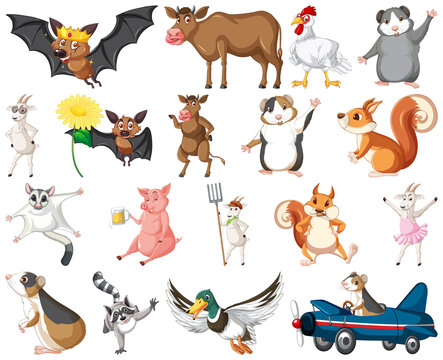 Set of different kinds of animals