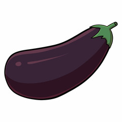 Eggplant on a white background. Illustration.