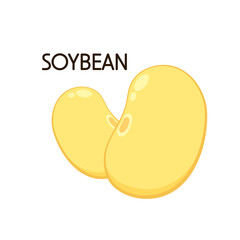 Soybean vector. Soybean on white background. free space for text.