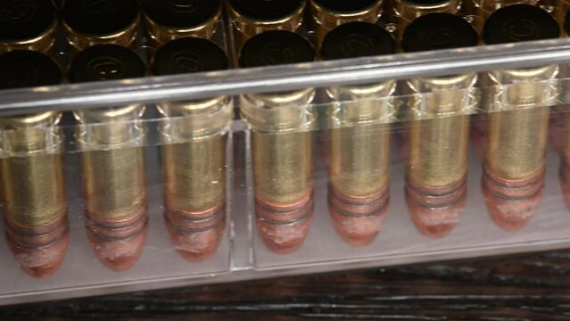 .22 long bullets facing downward in a clear case.  Small game hunting rounds