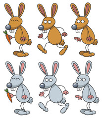 Fototapeta premium Lapin avec diverses expressions