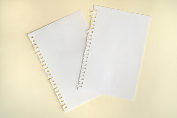 paper with side perforation