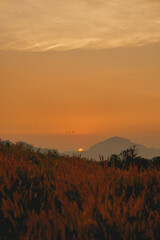 The view of the sunset with the mountains and the grass field in front, with the beautiful golden light of the sun in the background.