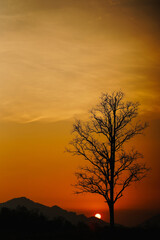 Sunset view with trees silhouette, There is a beautiful golden glow of the sun in the background.