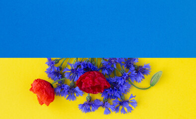 Bouquet of red poppies and blue cornflowers on the colored background. Copy space.