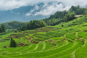 Zhejiang yunhe county of lishui city terrace landscape