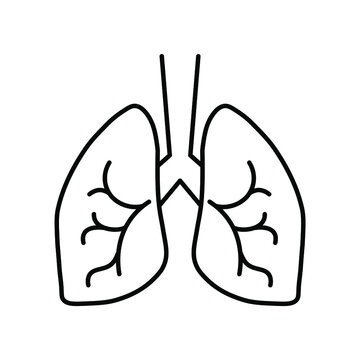 recommend clip art: lungs. Line icon for web design